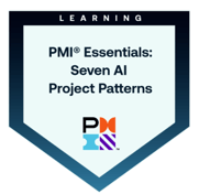 PMI 7